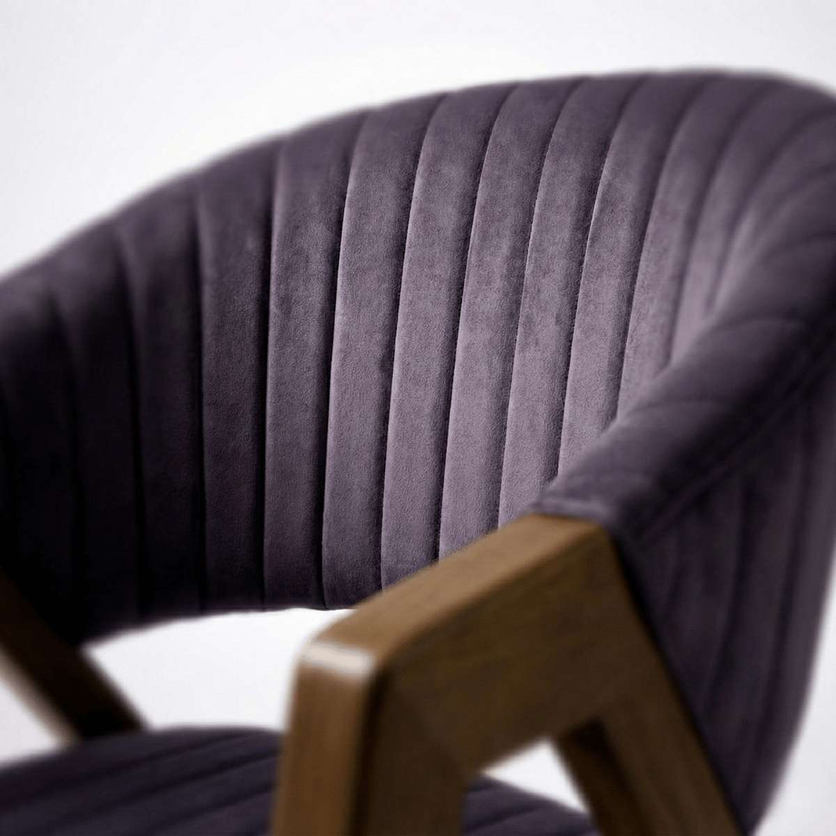 Raven Sheesham Wood Chair with Upholstered Fabric Seat and Backrest (Set of 2)