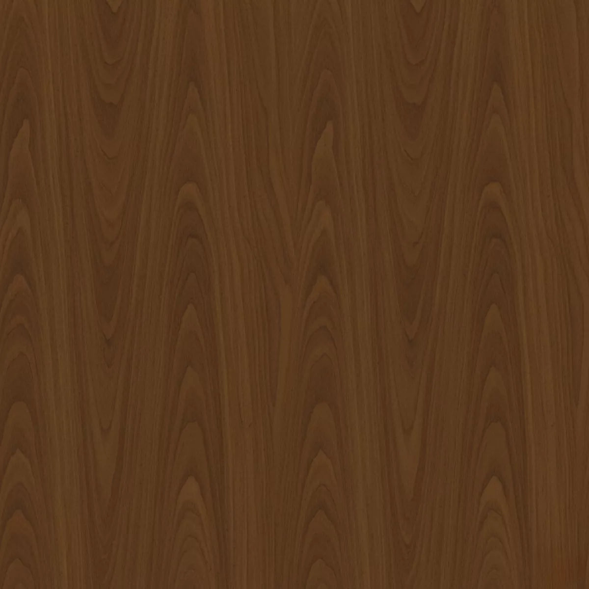 Arden Handcrafted Wooden Swing with Cane Backrest