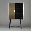 Aurum Luxury Brass Accents 2 Door Almirah Cabinet - Induscraft