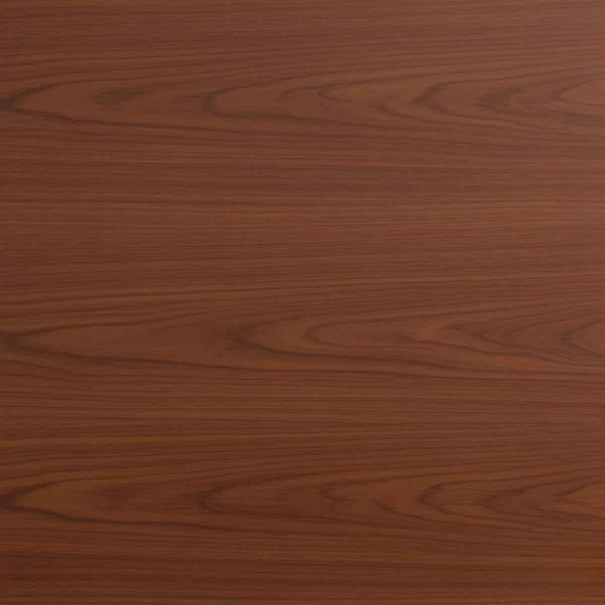 Zevra Modern Luxury Indoor Swing with Cane Detailing