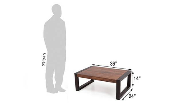 Alnia coffee table : Solid wood two tone modern Living room furniture