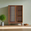 Wooden cabinet with glass doors