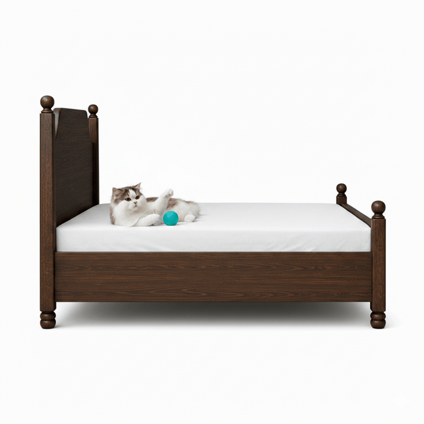 Riwaaz Solid Sheesham Wood Four Post Bed with Ball Finials